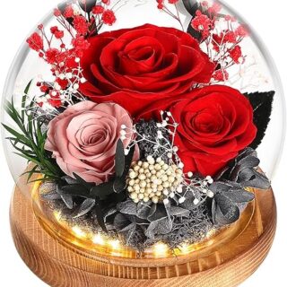 Esferas de Rosas